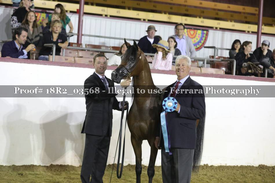 Proof 18R2_03568