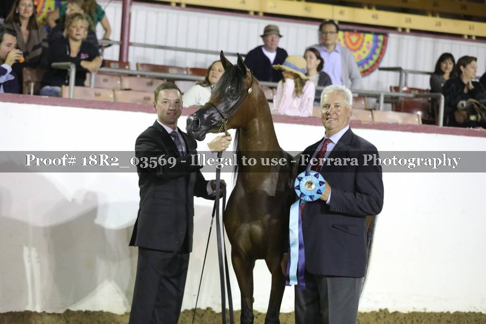 Proof 18R2_03569
