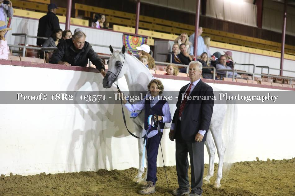Proof 18R2_03571