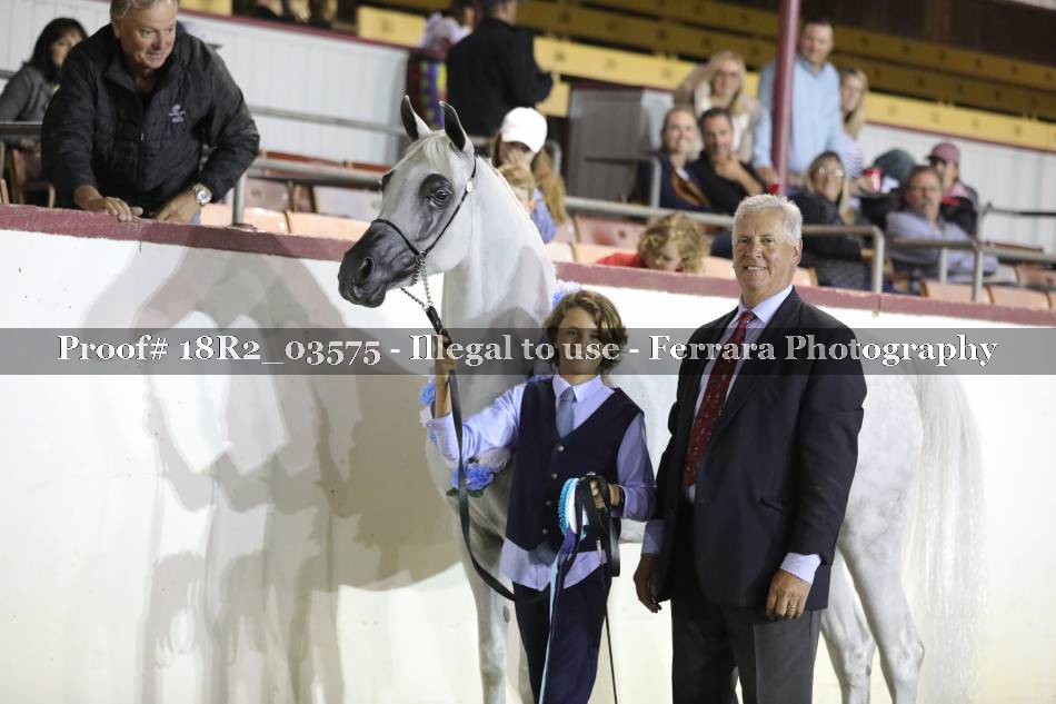 Proof 18R2_03575