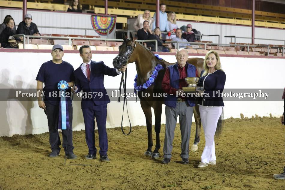 Proof 18R2_03579