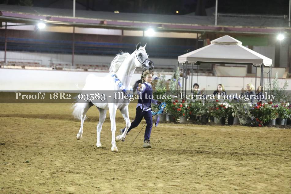 Proof 18R2_03583