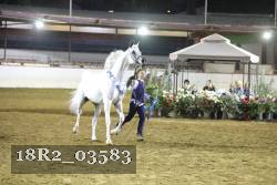 18R2_03583 proof