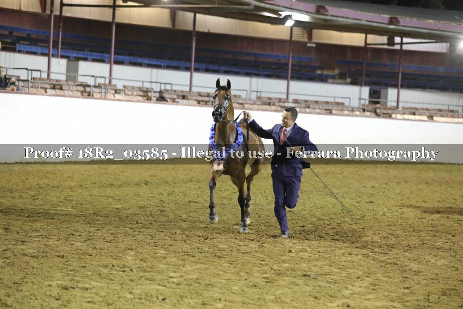Proof 18R2_03585