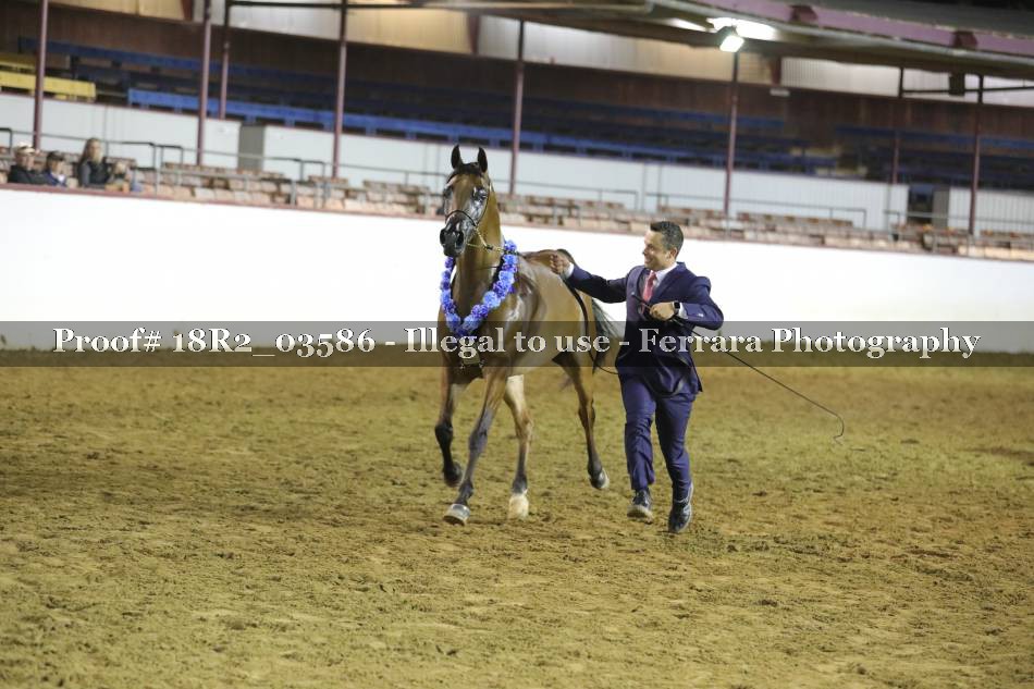 Proof 18R2_03586