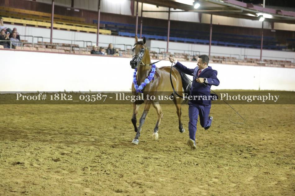 Proof 18R2_03587