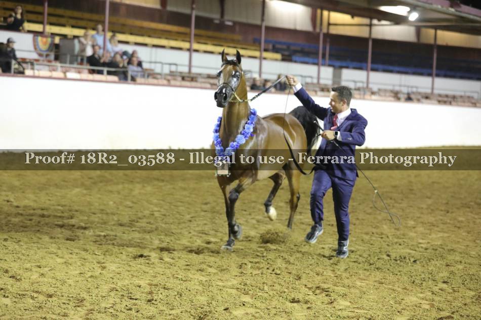 Proof 18R2_03588