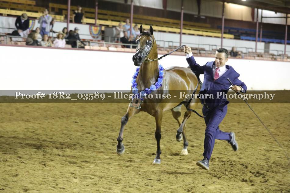 Proof 18R2_03589