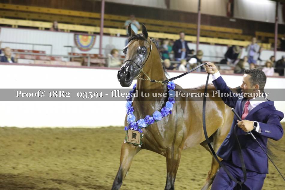 Proof 18R2_03591