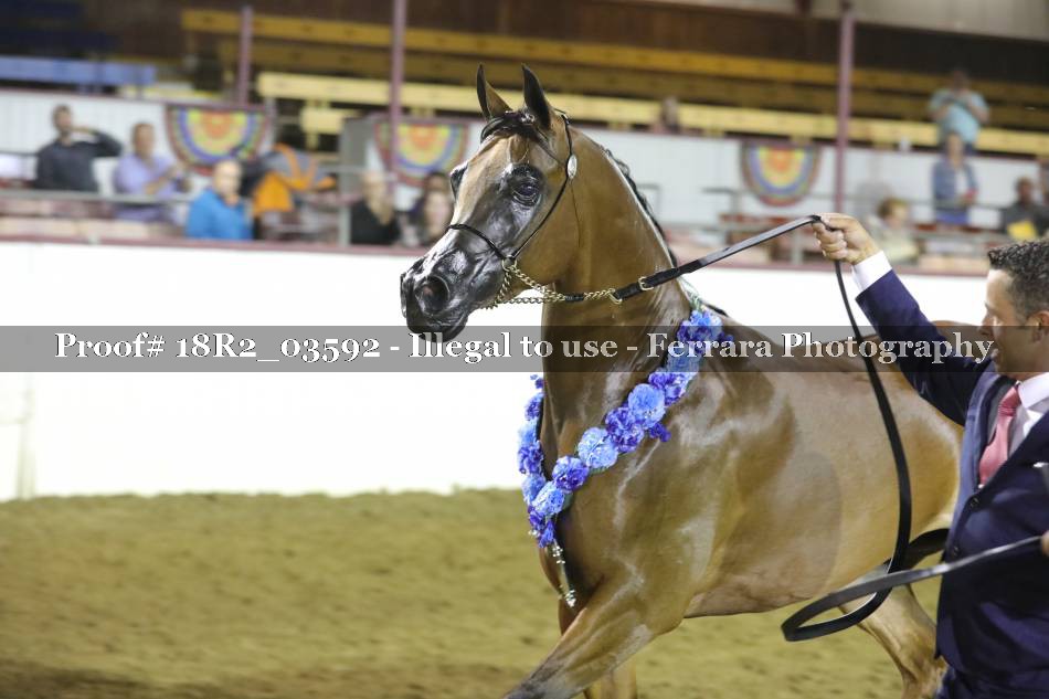 Proof 18R2_03592
