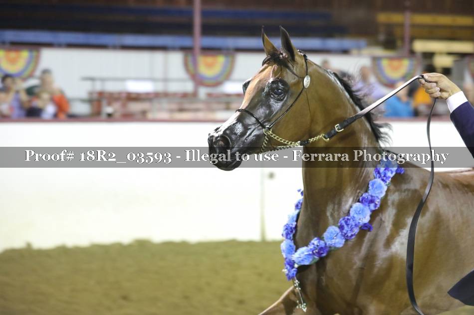 Proof 18R2_03593