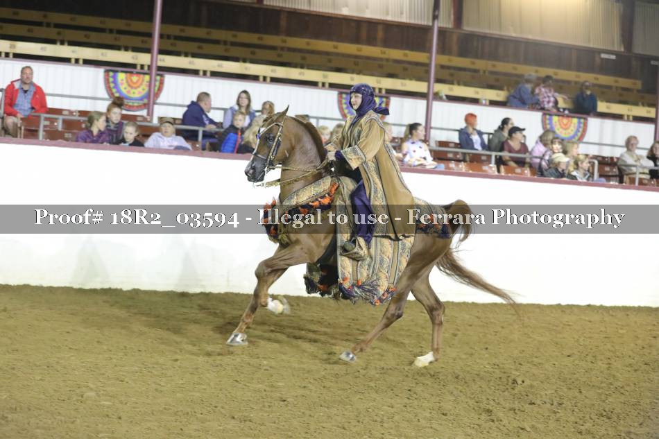 Proof 18R2_03594