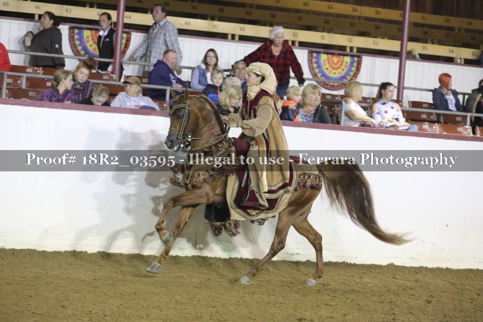 Proof 18R2_03595