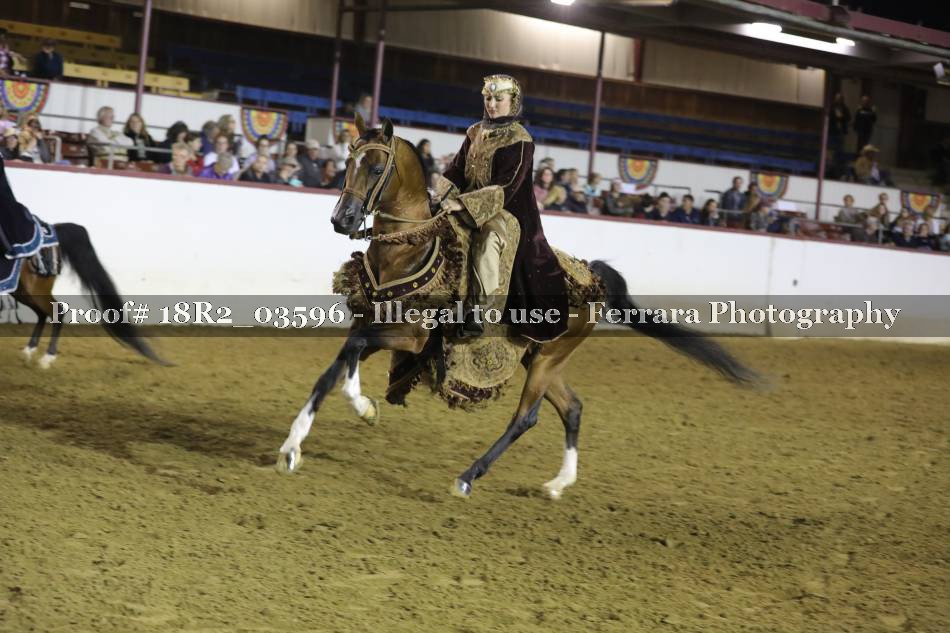 Proof 18R2_03596
