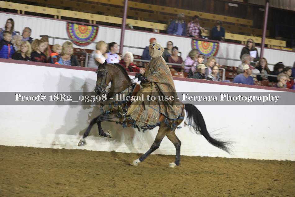 Proof 18R2_03598