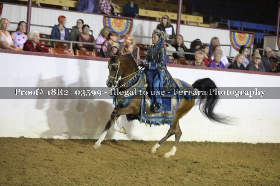 Proof 18R2_03599