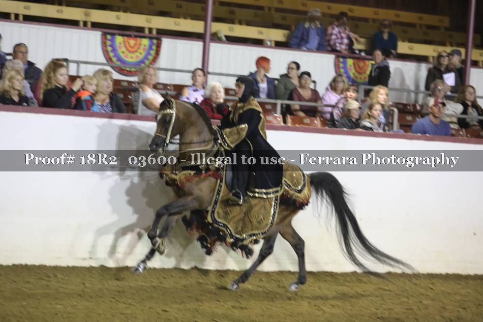 Proof 18R2_03600