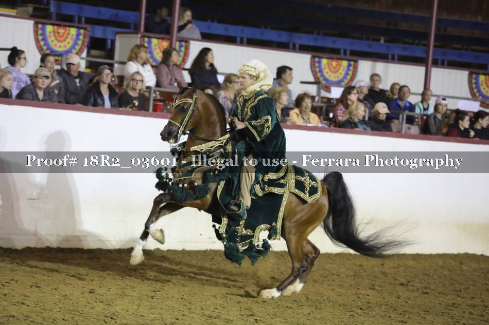 Proof 18R2_03601