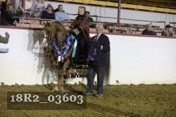 18R2_03603 proof