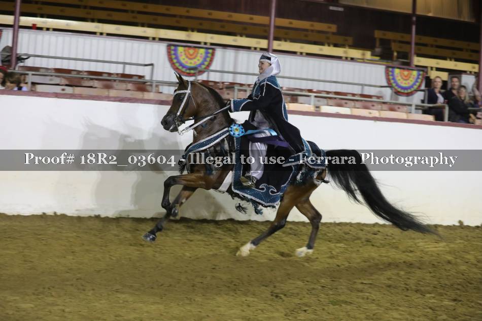 Proof 18R2_03604