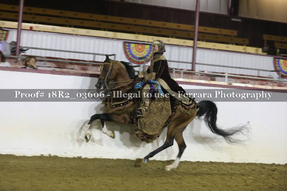 Proof 18R2_03606