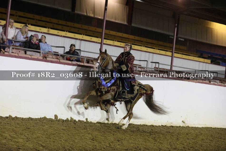 Proof 18R2_03608