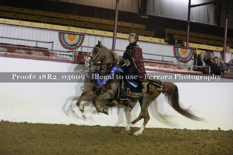 Proof 18R2_03609