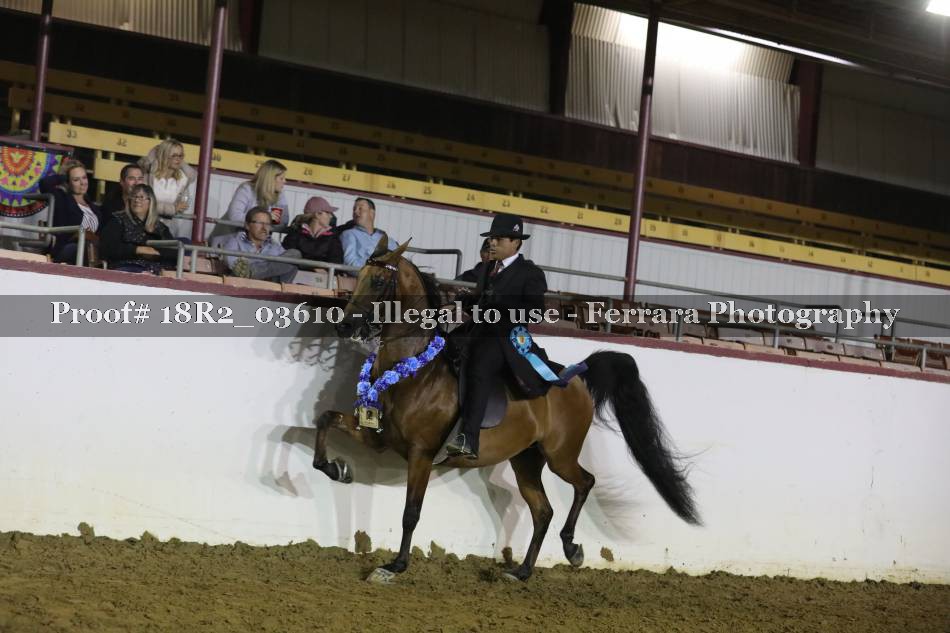 Proof 18R2_03610