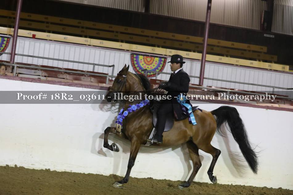 Proof 18R2_03611
