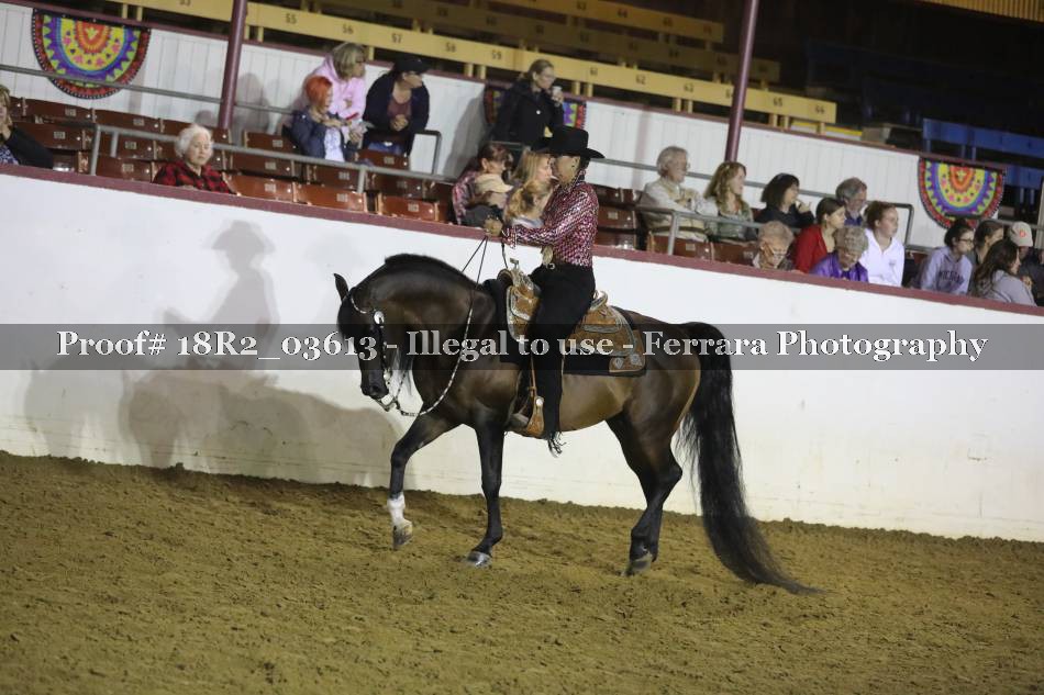 Proof 18R2_03613