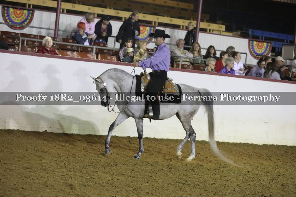 Proof 18R2_03614