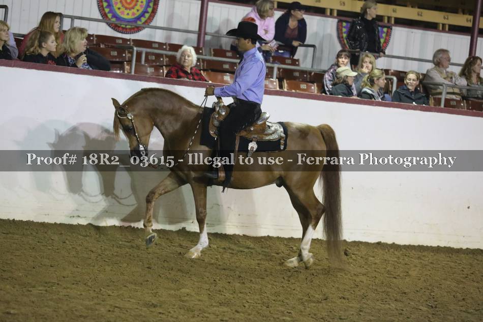 Proof 18R2_03615