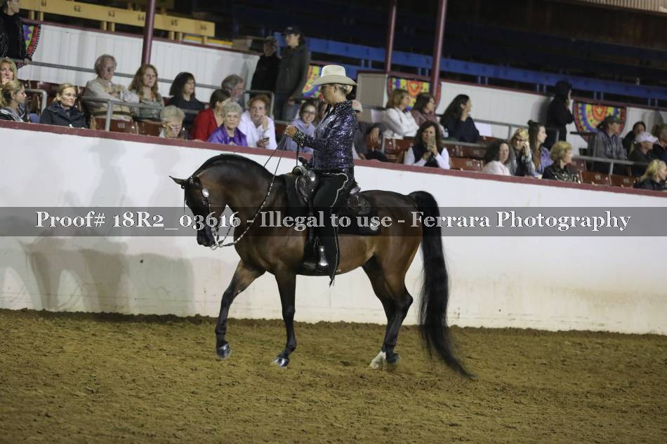 Proof 18R2_03616