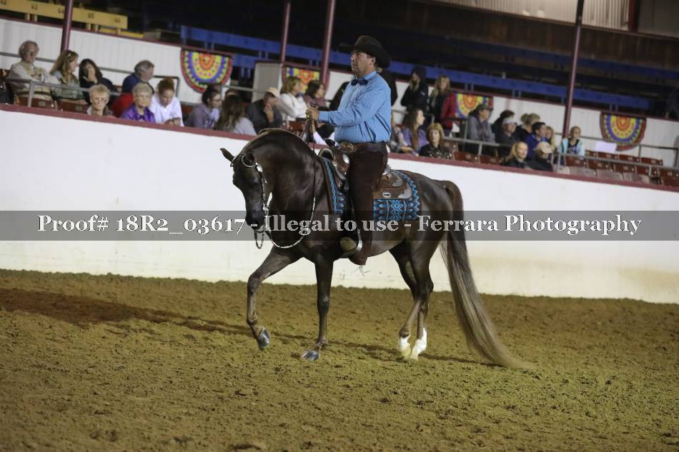 Proof 18R2_03617