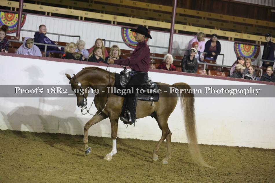 Proof 18R2_03619