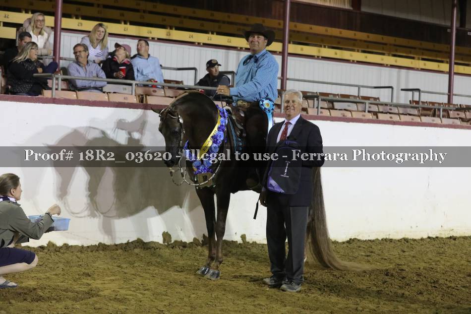 Proof 18R2_03620