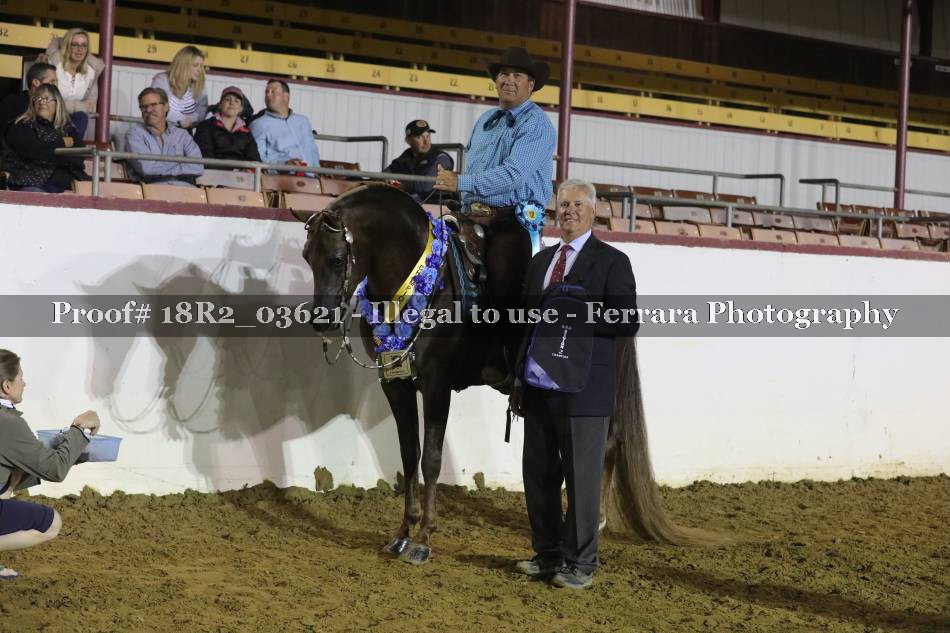 Proof 18R2_03621