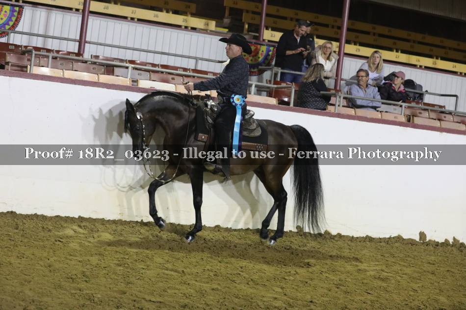 Proof 18R2_03623