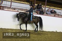 18R2_03623 proof