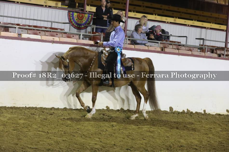 Proof 18R2_03627