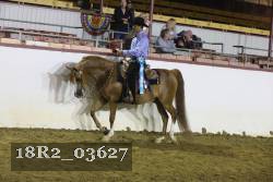 18R2_03627 proof