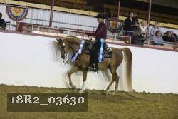 18R2_03630 proof