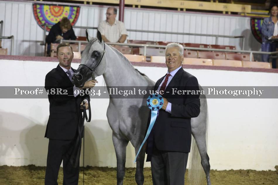 Proof 18R2_03634