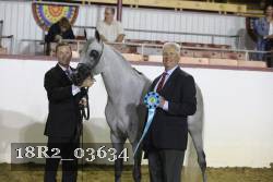 18R2_03634 proof