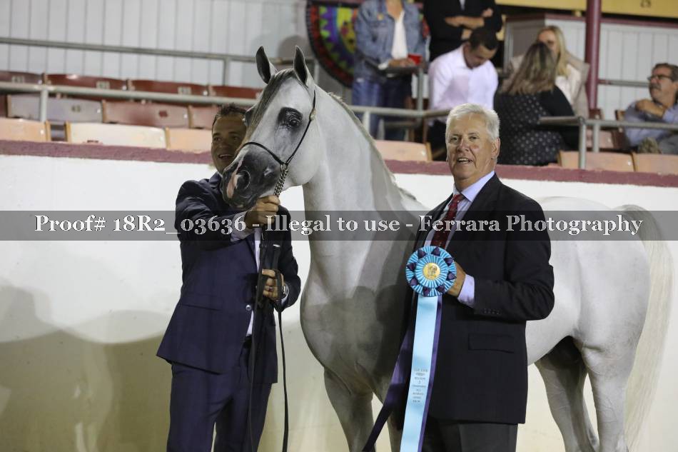 Proof 18R2_03636