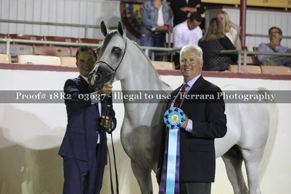 Proof 18R2_03637