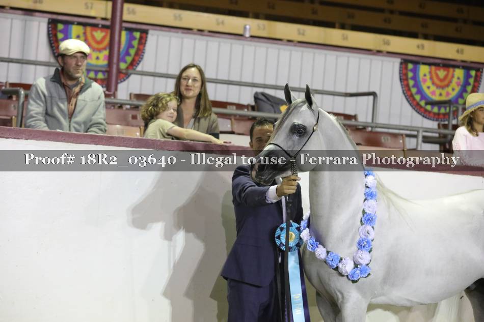 Proof 18R2_03640