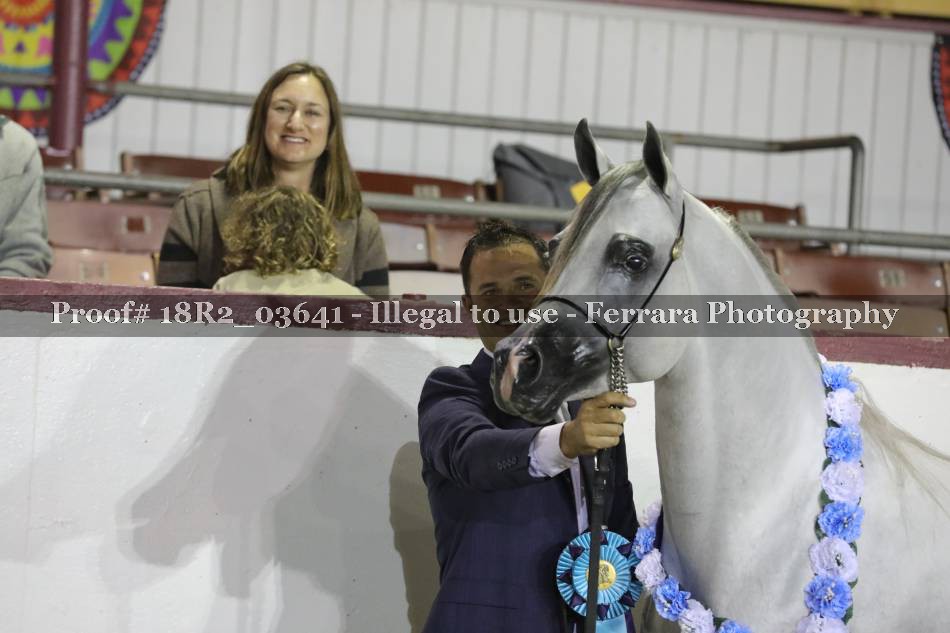 Proof 18R2_03641