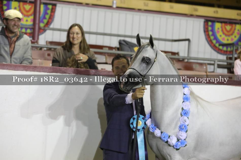 Proof 18R2_03642