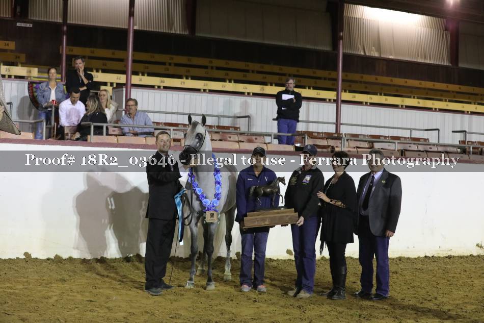 Proof 18R2_03646